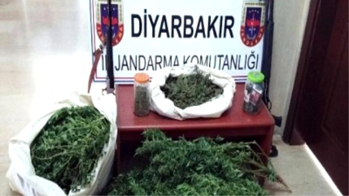 Diyarbakır\'da Uyuşturucu Operasyonu