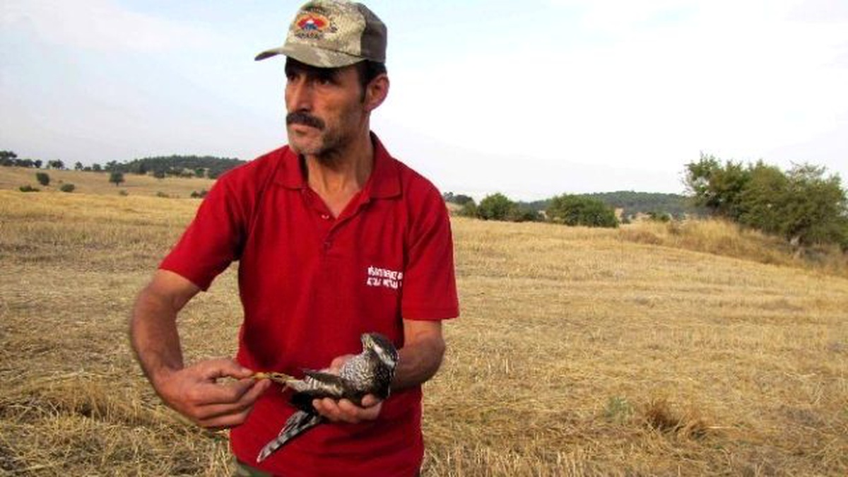 Hisarcık\'ta Yaralı Atmacaya Avcılar Sahip Çıktı