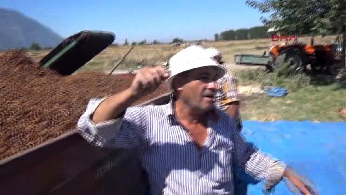 Manisa Fındığın, Kayısının Başına Gelen Bu Yıl Kuru Üzümde Yaşanıyor 2-