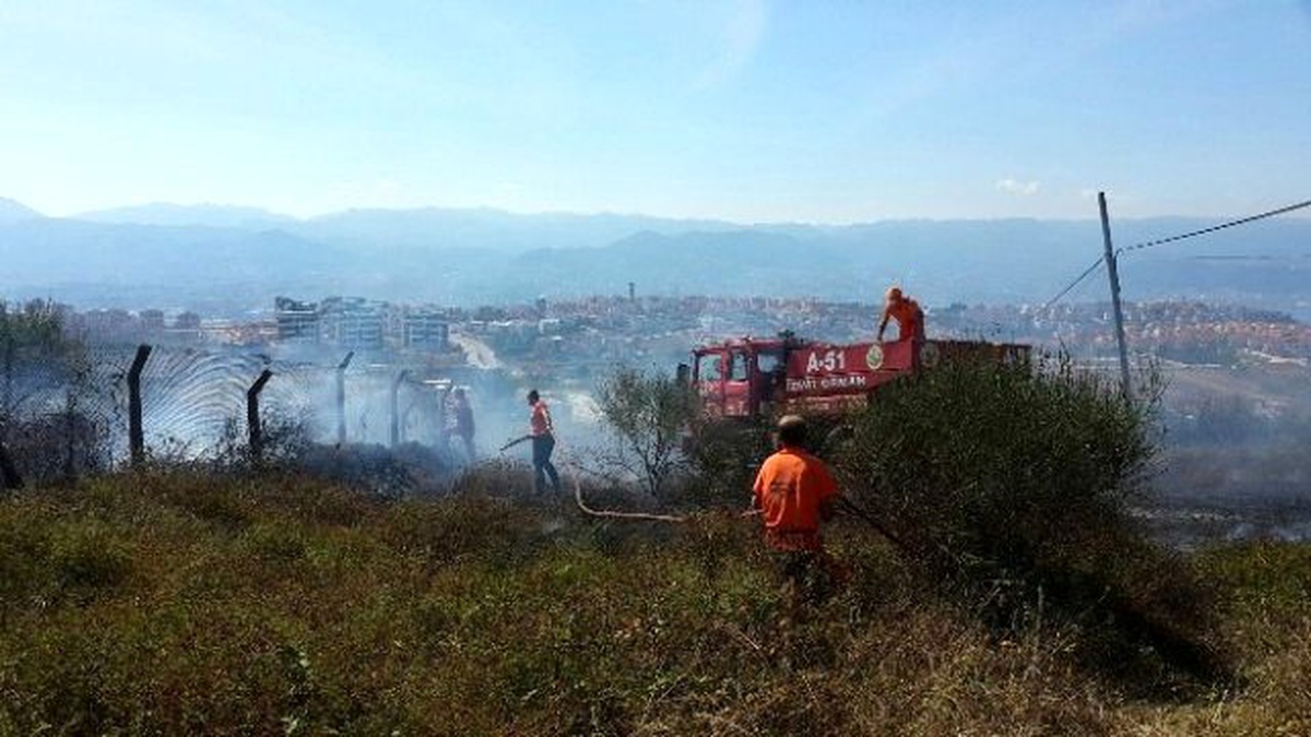 Otluk Alandaki Yangın Paniğe Neden Oldu