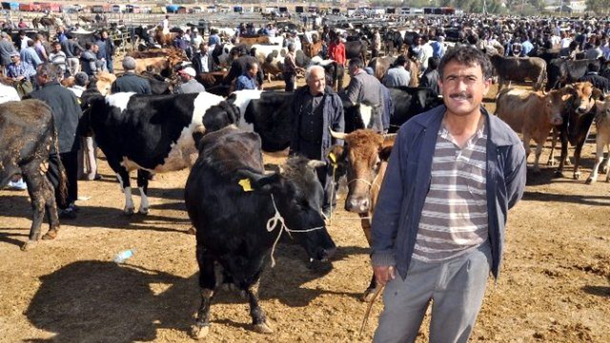 Kurbanlık Hayvan Alırken Dikkat Edilmesi Gerekenler