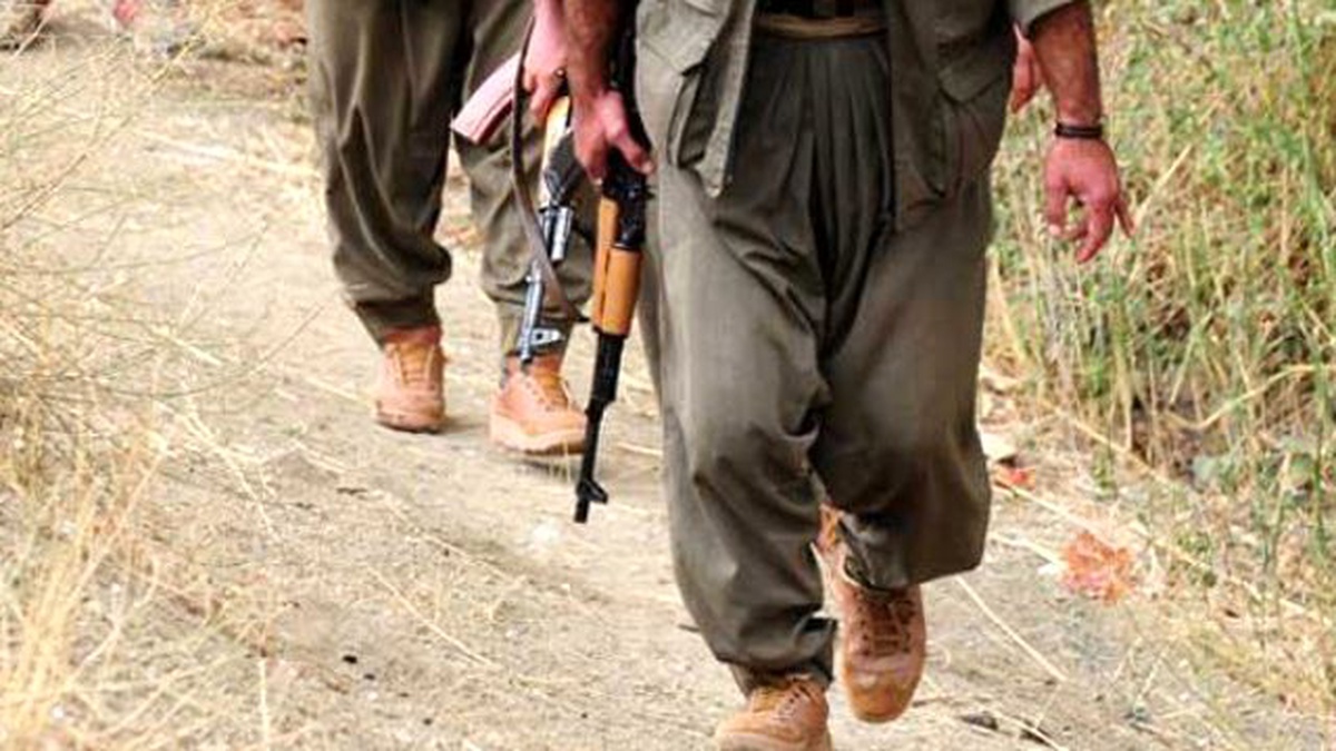 Şırnak\'ta 7 PKK\'lı Teslim Oldu