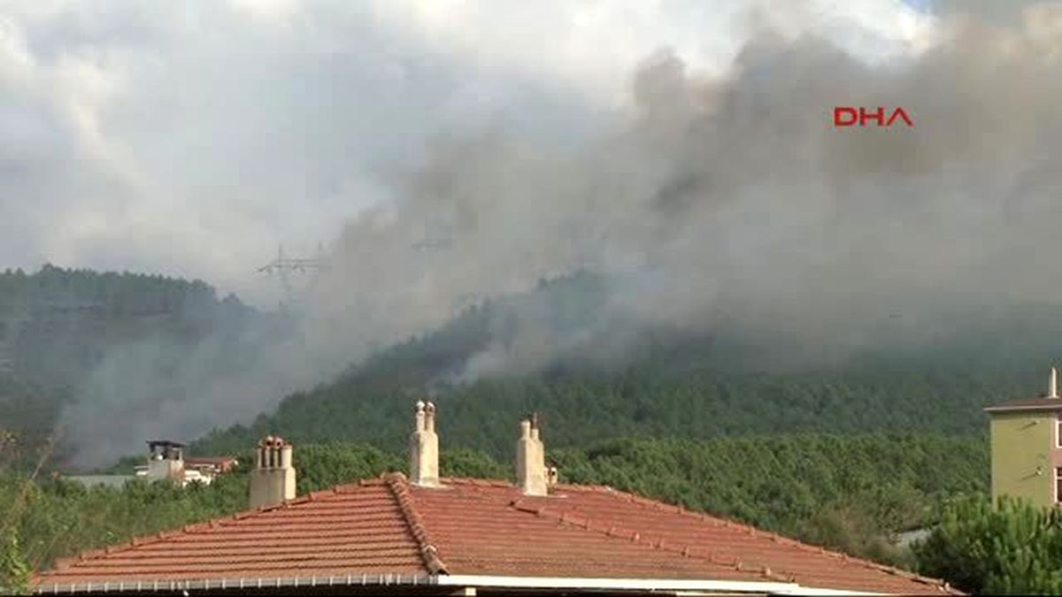 Sultanbeyli\'de Ormanlık Alanda Yangın...
