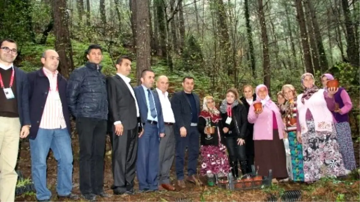 Tanıtım ve İstihdam Projesi Güçlenerek Büyüyor