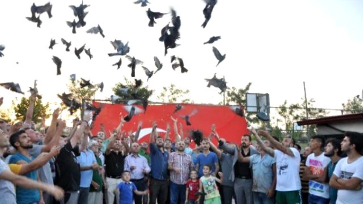 Terörü Protesto İçin Siyah Güvercin Bıraktılar