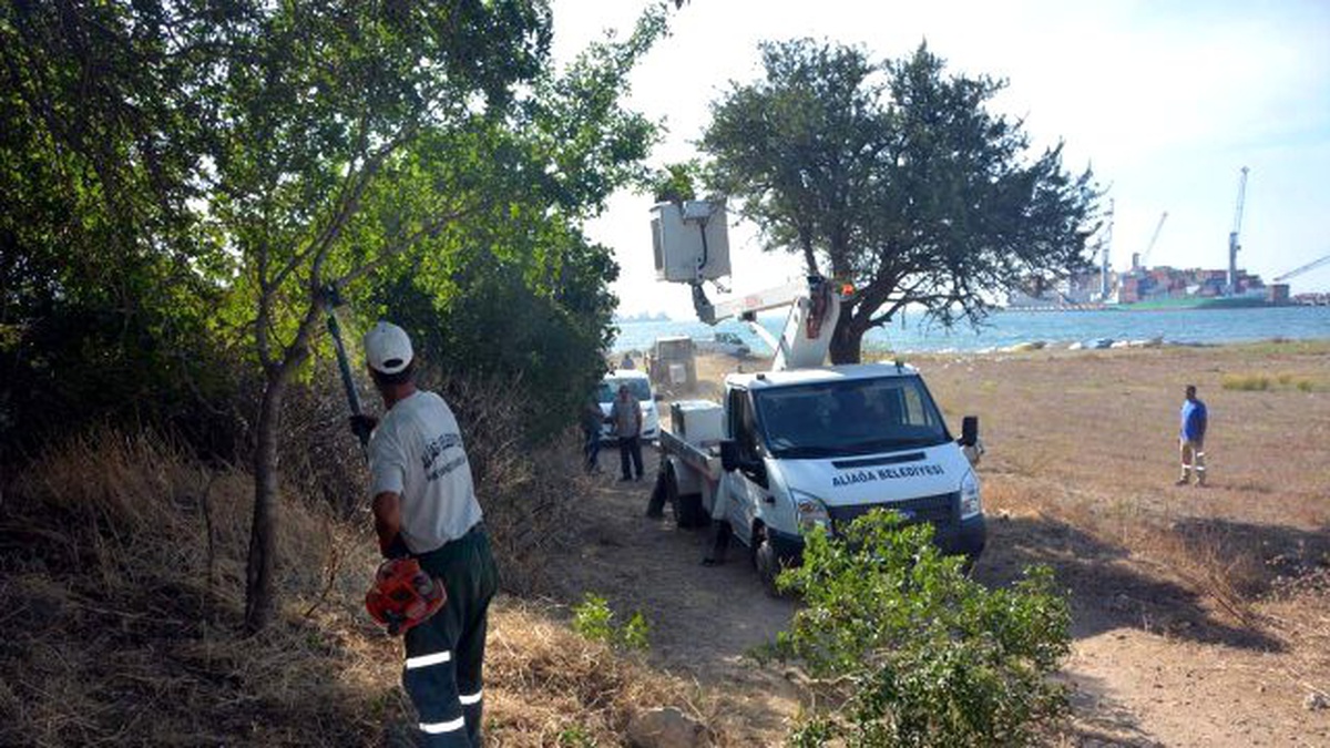 Aliağa Belediyesi 3500 Yıl Öncesine Ulaşan Yolu İyileştiriyor