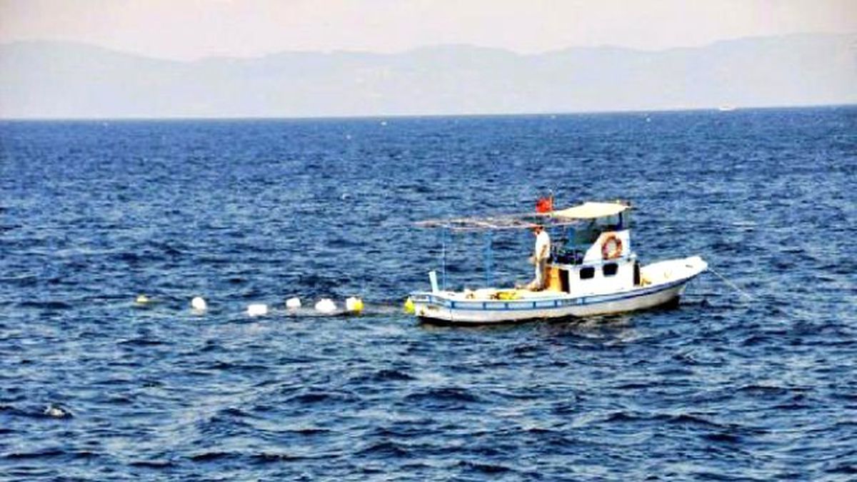 Ayvalık\'ta Kırmızı Mercanları Kurtaracak Proje
