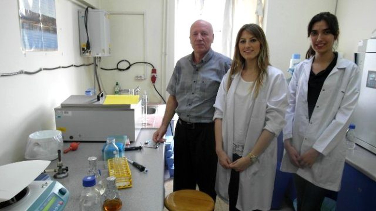 Bursa\'da Yemeklik ve Yağlık Zeytini Ayırt Edecek Genetik Uzmanı Yok"