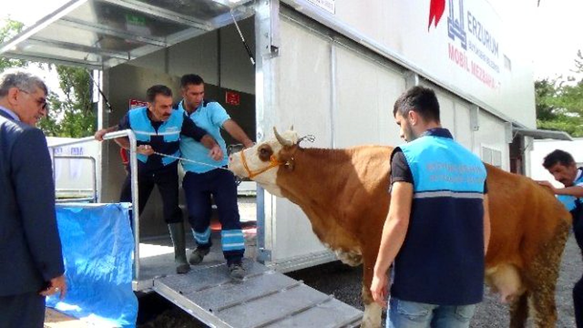 Erzurum Büyükşehir Belediyesi\'nden Mobil Mezbaha