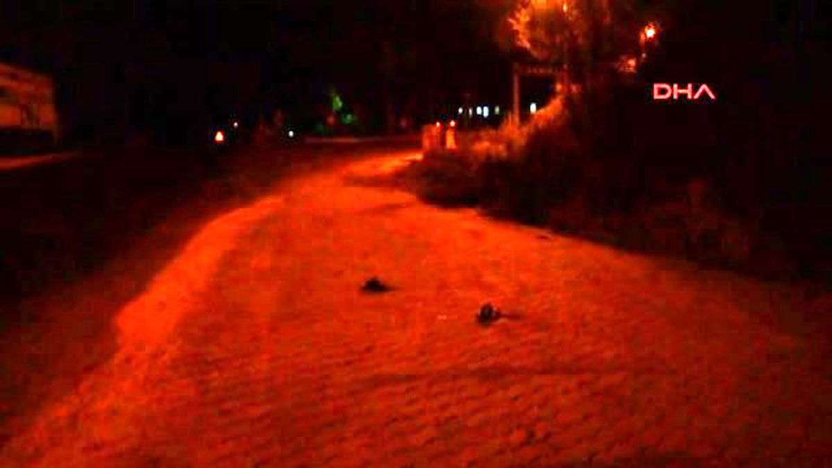 İzmir Ödemiş Karakoldan Çıkmasını Bekleyip Av Tüfeğiyle Öldürdü