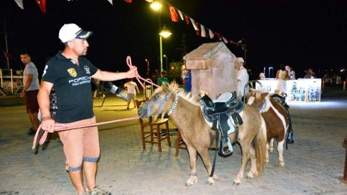 Pony" Atları ile Cunda Turunun Dakikası 1 Lira