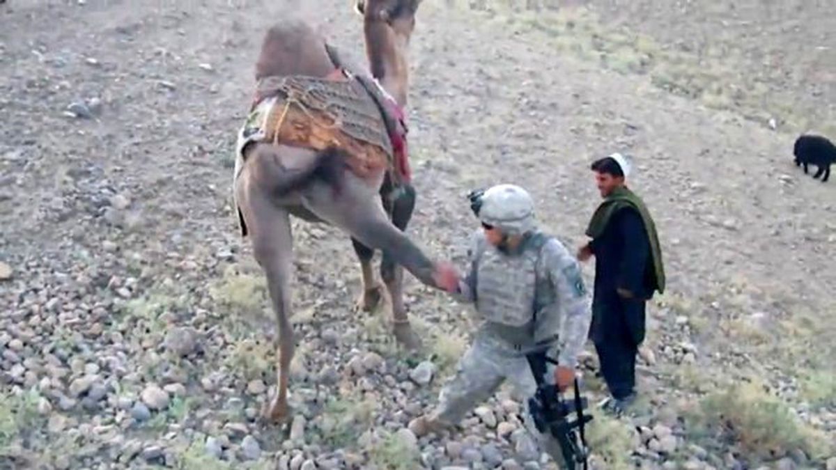 ABD Askerine Deveden Feci Tekme