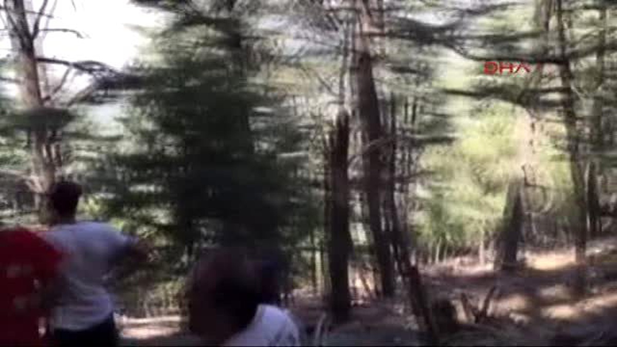 Paraşütü Kapanan Adamı Ağaç Kurtardı