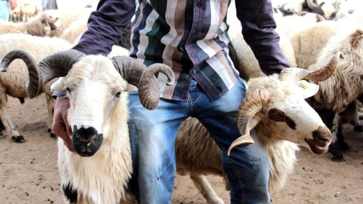 Bakan Müjdeyi Verdi: Bayram Tatili 9 Gün Oluyor
