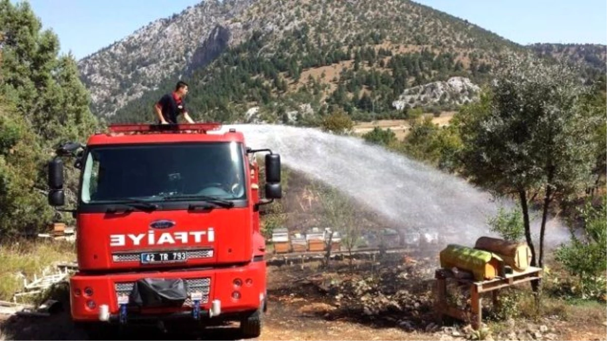 Beyşehir ve Derebucak\'ta Arazi Yangınları