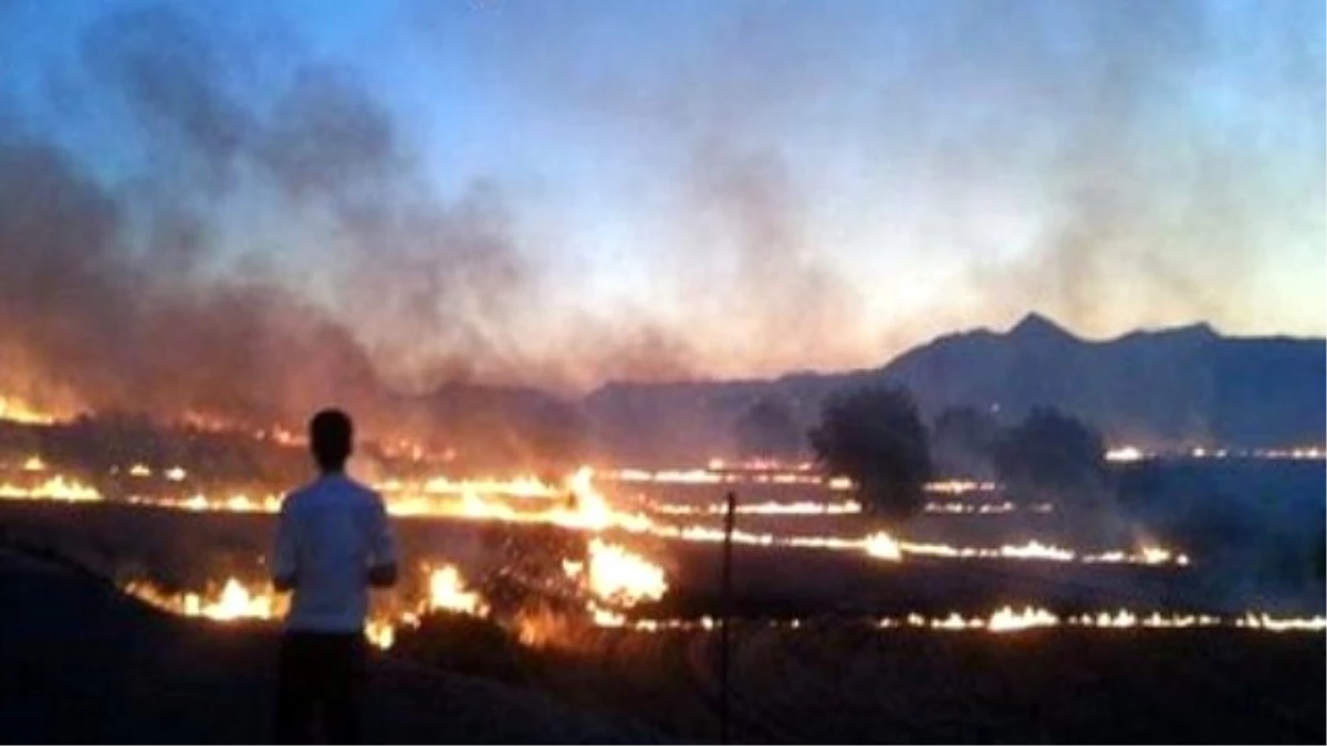Diyarbakır Bu Yıl Yangınlardan Nasibini Fazlasıyla Aldı