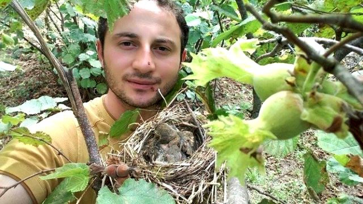 Fındık Ağacına Kuşlar Yuva Yapınca Hasat Yapmadı