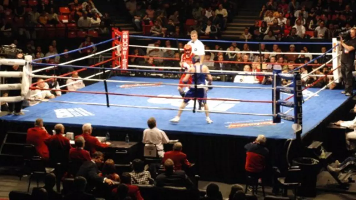 Floyd Mayweather, Andre Berto ile Karşılaşacak