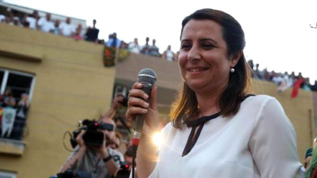 Hdp\'li Küçükkeleş\'ten, Başbakan Davutoğlu\'na Mersin İçin Soru Önergesi