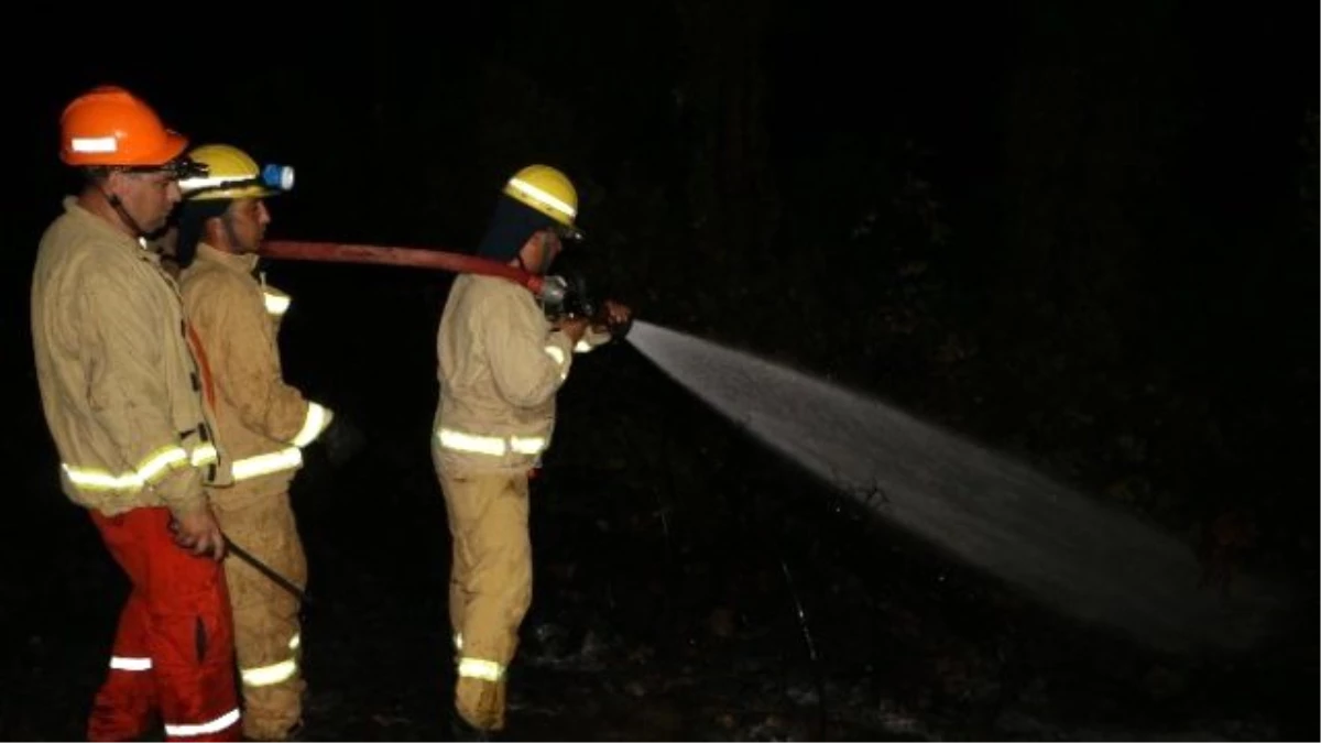 Marmaris\'teki Orman Yangınında Sabotaj Şüphesi