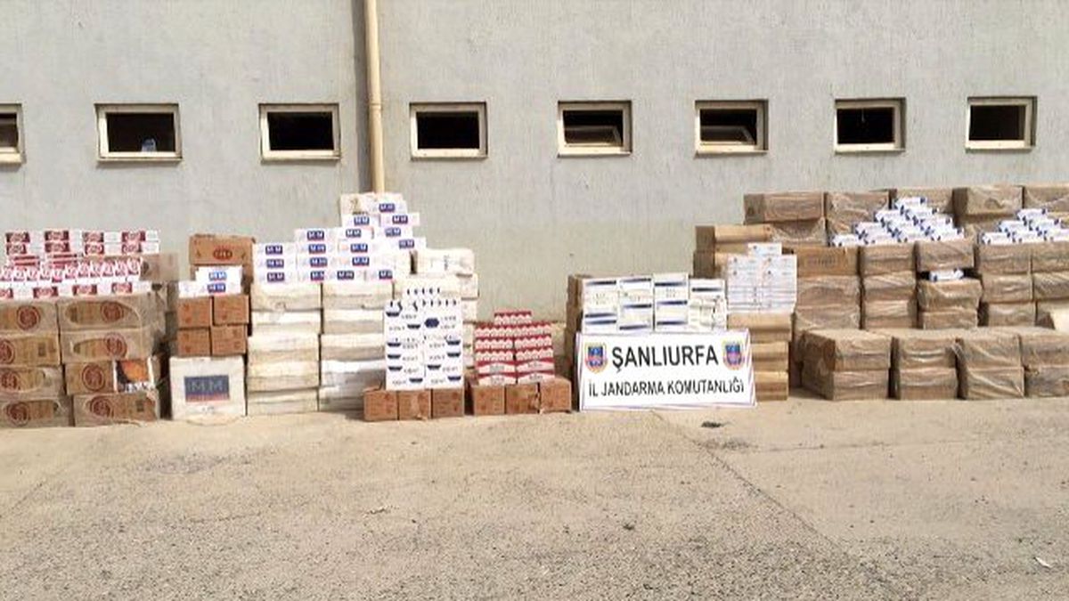 97 Bin Paket Kaçak Sigara Ele Geçirildi