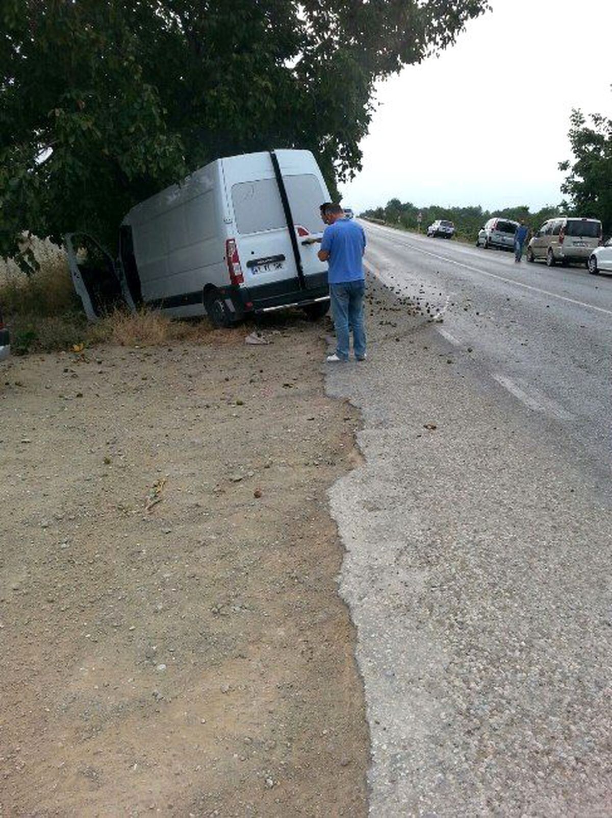 Ağaca Çarptı