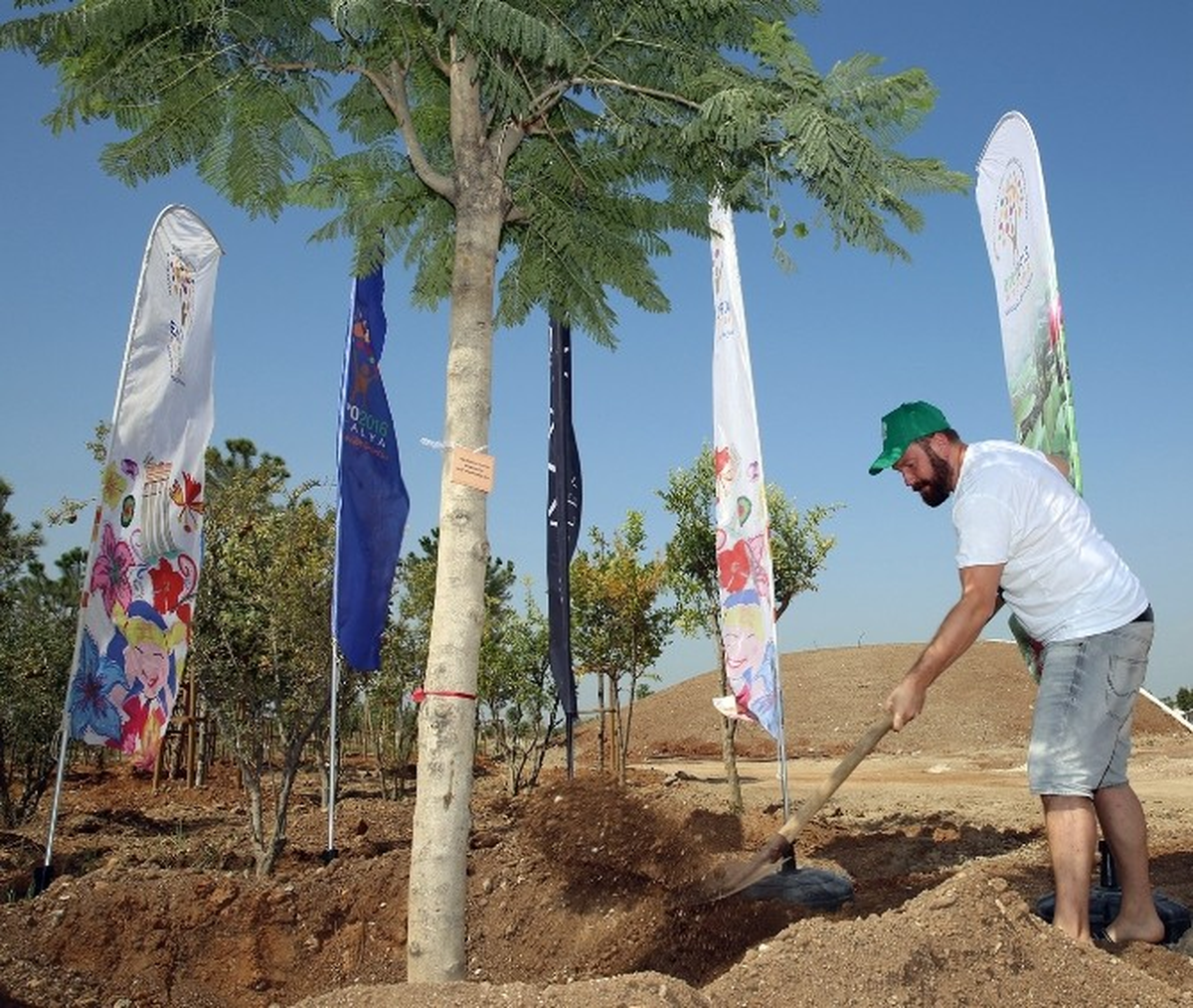 Alman Dj, Expo 2016 Antalya Alanına \'Jacaranda" Dikti