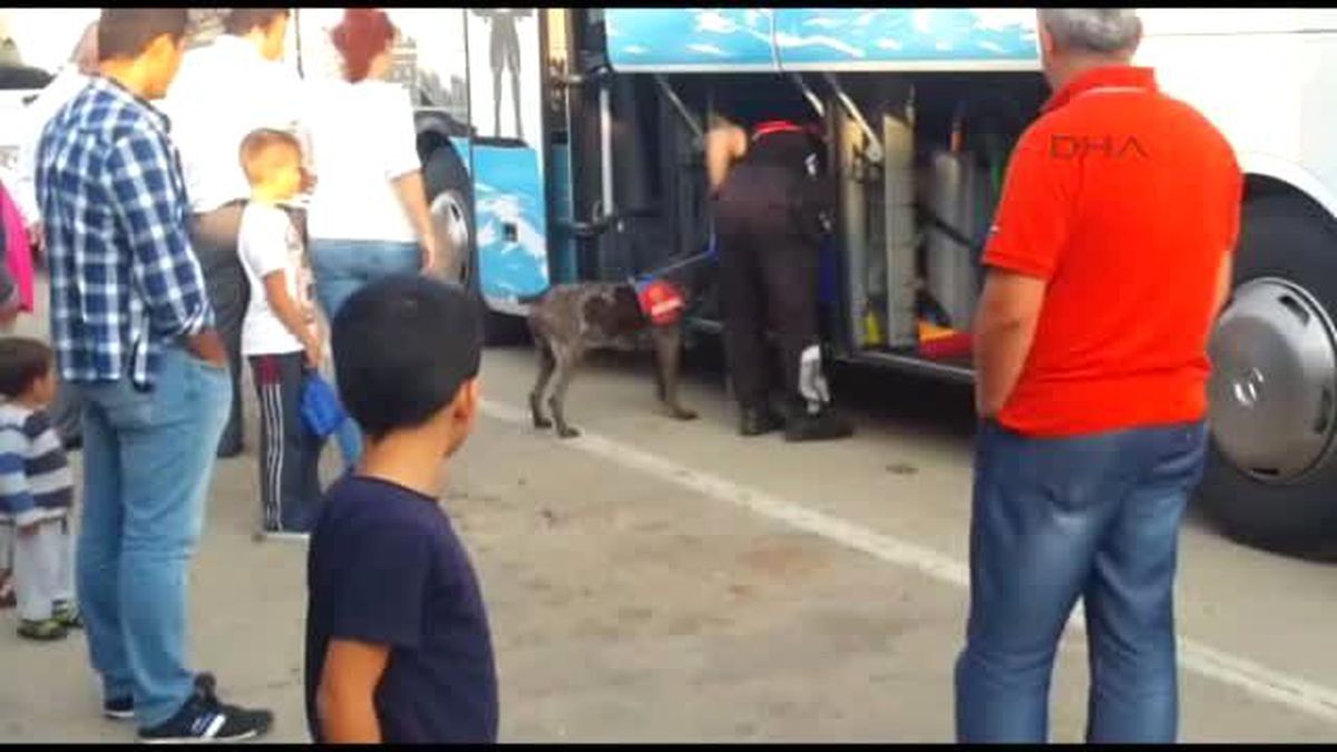 Çanakkale - İskelede Dedektör Köpekle Şüpheli Araç Araması