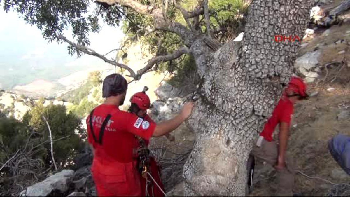 Fethiye Kayalıklarda Mahsur Kalan Oğlağı Akut Kurtardı