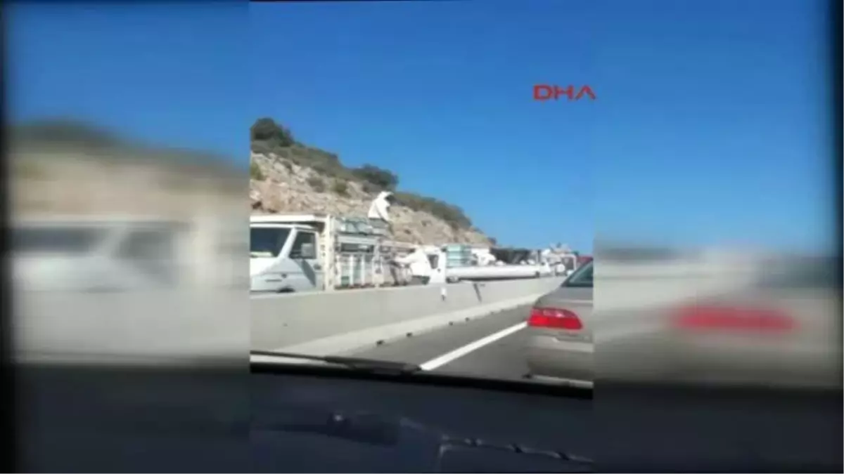 Muğla Freni Patlayan Kovan Yüklü Kamyon Devrilince Sürücüler Arı Kabusu Yaşadı