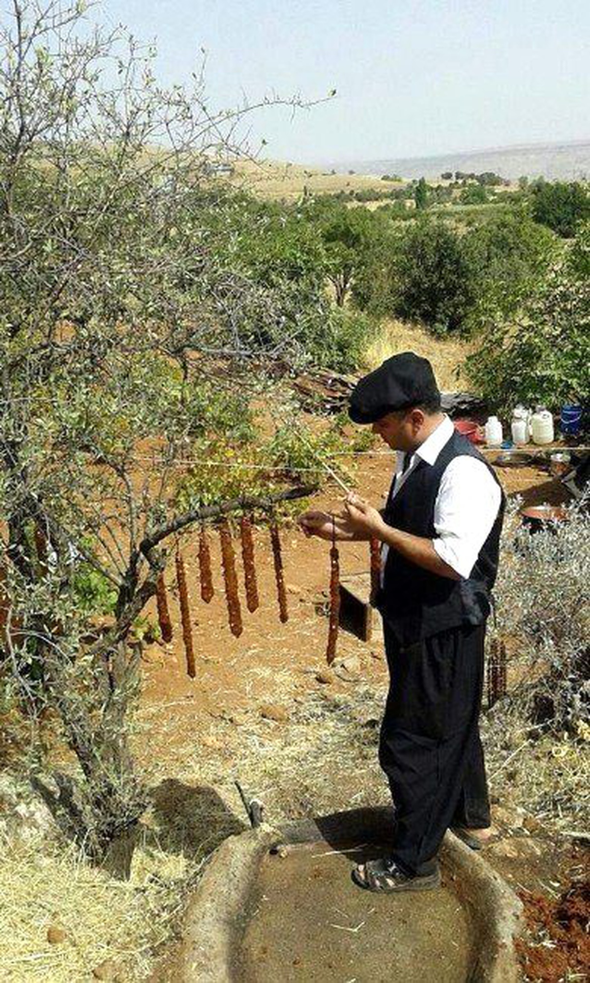 Organik Üzüm Sucukları Yapıldı