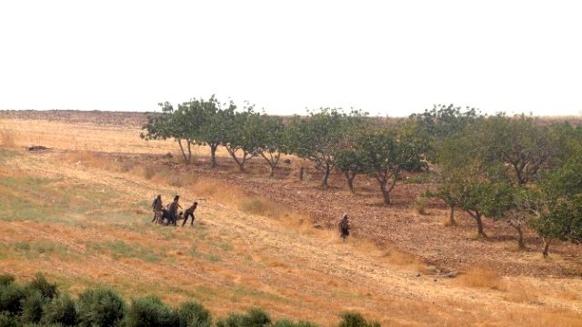 Suriye\'de Öso ile Işid Arasındaki Çatışmalar Şiddetlendi