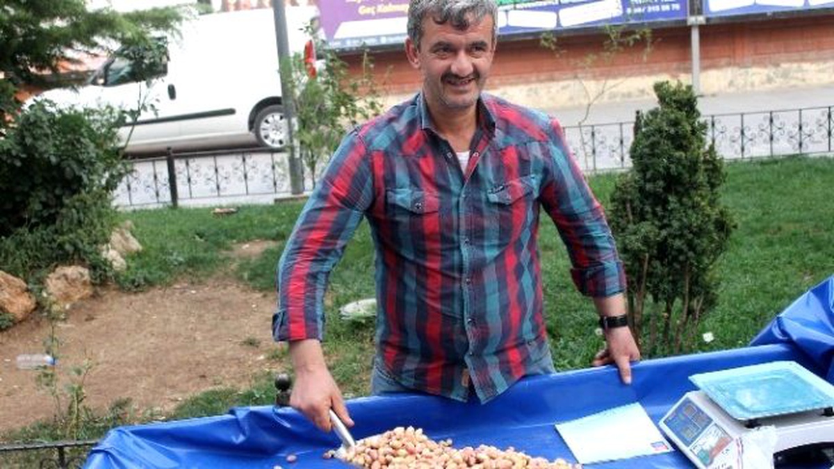 Taze Siirt Fıstığı Piyasada