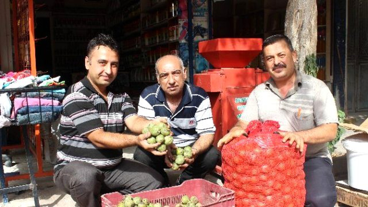 Yeni Mahsul Ceviz Piyasaya Çıktı