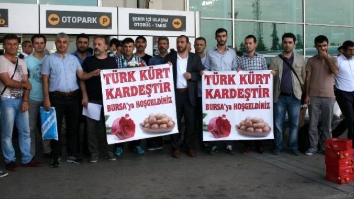 Bursalılardan Otogarda Gül ve Kestane Şekerli Kardeşlik Mesajı