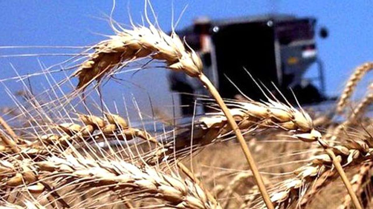 ÇKS İçin Başvuru 30 Ekim\'e Kadar Uzatıldı