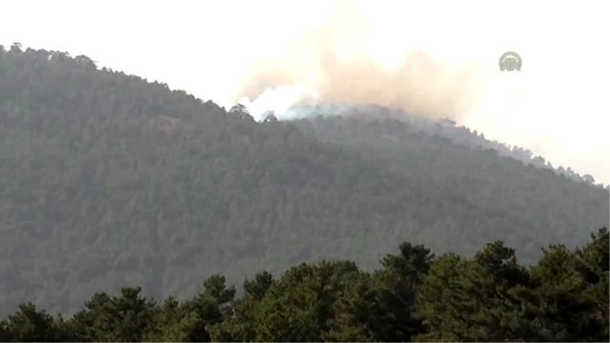 Konya\'da Orman Yangını