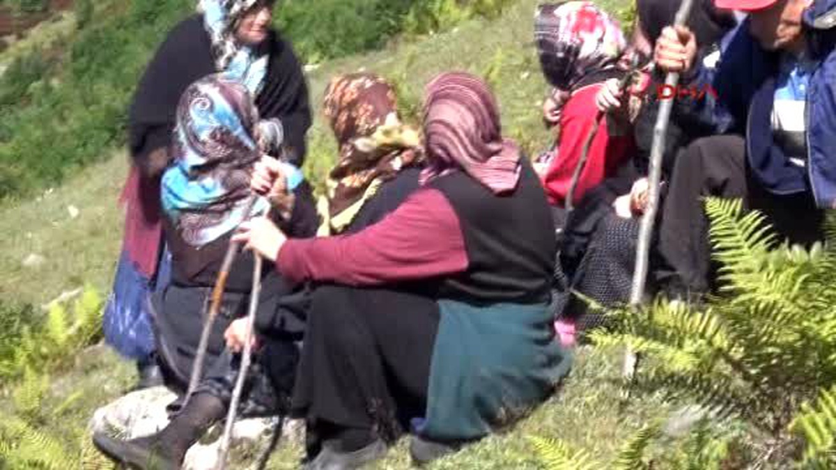 Rize?deki Yayla Kavgasına Soruşturma Açıldı, Köy Halkı Seçimleri Boykot Kararı Aldı