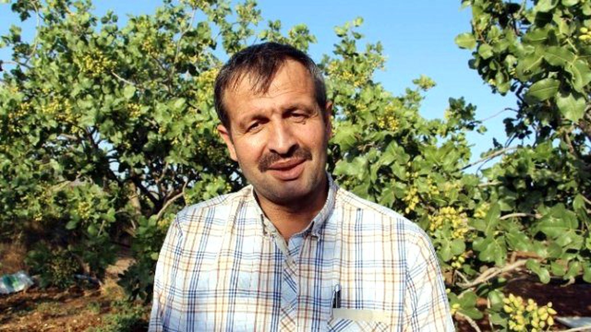 Terör Olayları Siirt\'ten Çin\'e Fıstık İhracatını Etkiledi