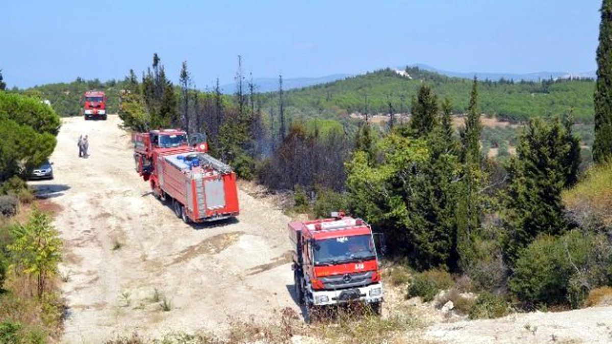 Aliağa\'da Orman Yangını