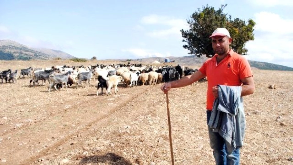 Başlık Parasıyla Dolandırılan Çobanı Polis Kurtardı