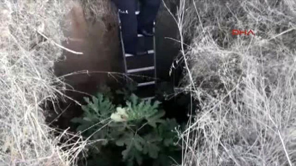 Fethiye Kuyuya Düşen Domuz Yavrusunu İtfaiye Kurtardı