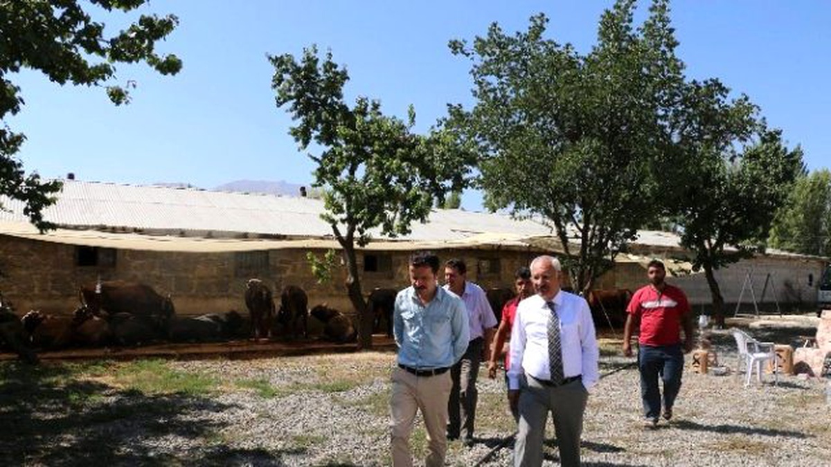 İl Müdürü Yılmaz Kurbanlık Hayvan Satış ve Kesim Yerlerini Denetledi