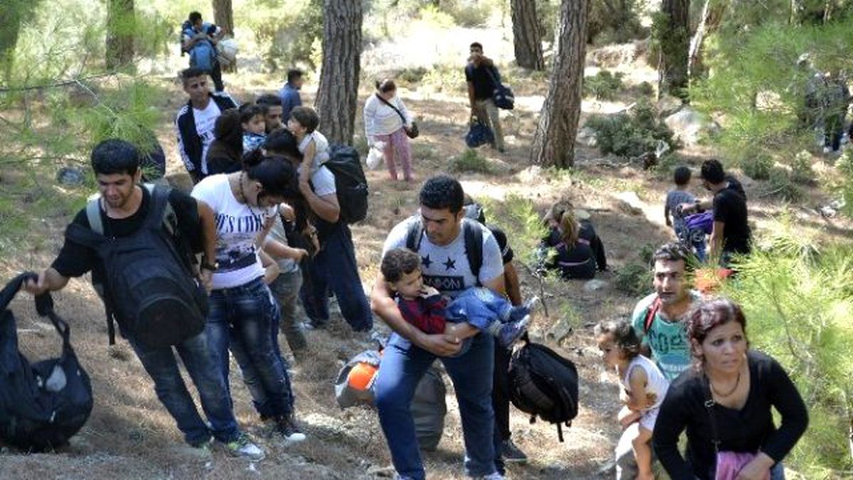 İş Bulamayan Sığınmacılar Geceyi Ormanda Geçirdi