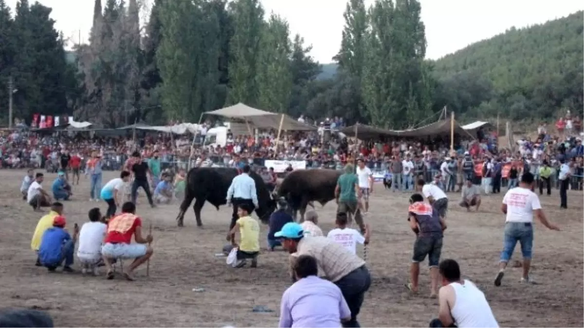 İspanyayı Aratmayacak Görüntüler