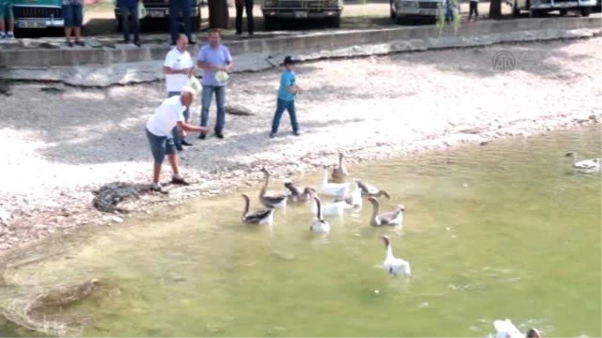 Klasik Otomobil Tutkunları Sünnet Gölü\'nde Buluştu