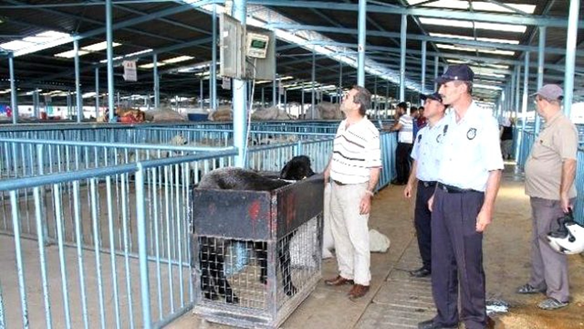 Merkezefendi\'de Kurban Satış ve Kesim Yerleri Belirlendi