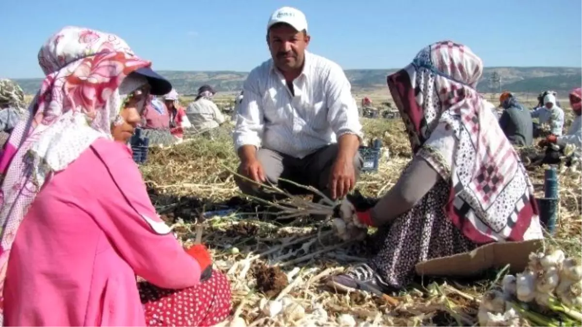 Mevsimlik İşçiler Dönüş Yolunda