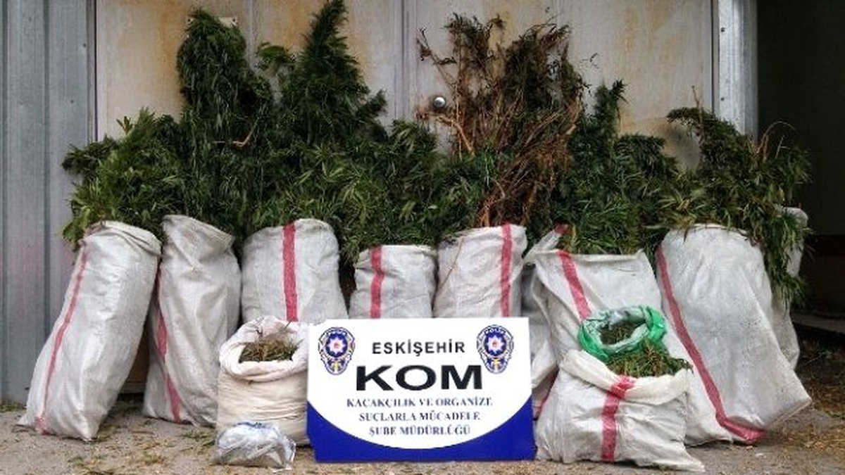 Polisin Uyuşturucu ile Mücadelesi Sürüyor