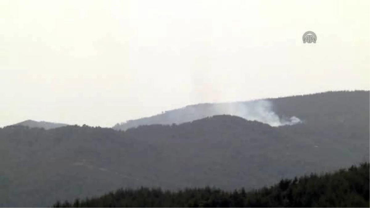 Suriye Sınırında 4 Farklı Noktada Orman Yangını